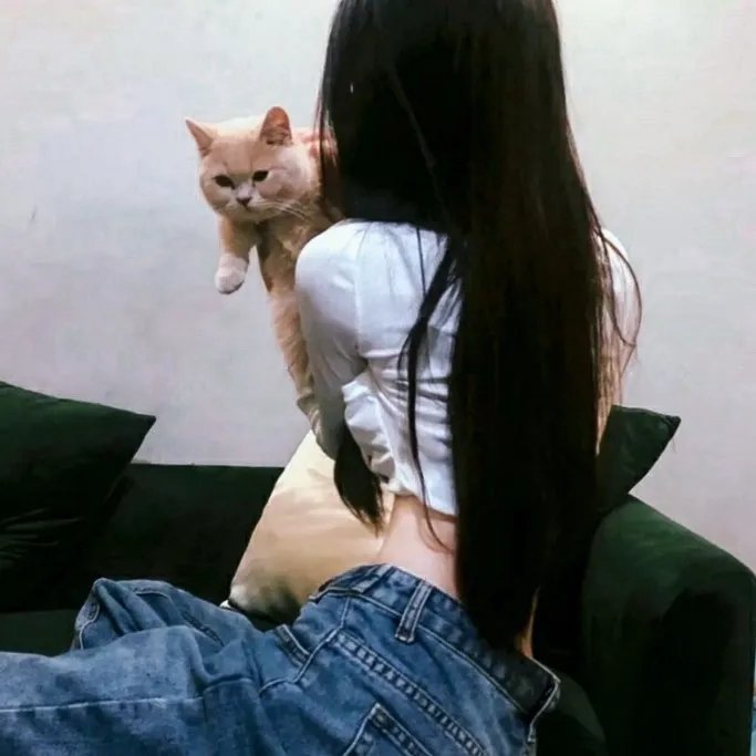 婚前协议